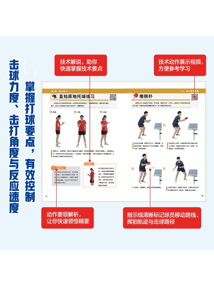 Book-Winshare 일러스트레이티드 탁구 편안한  - Table Tennis Illustration 리뷰 및 가격