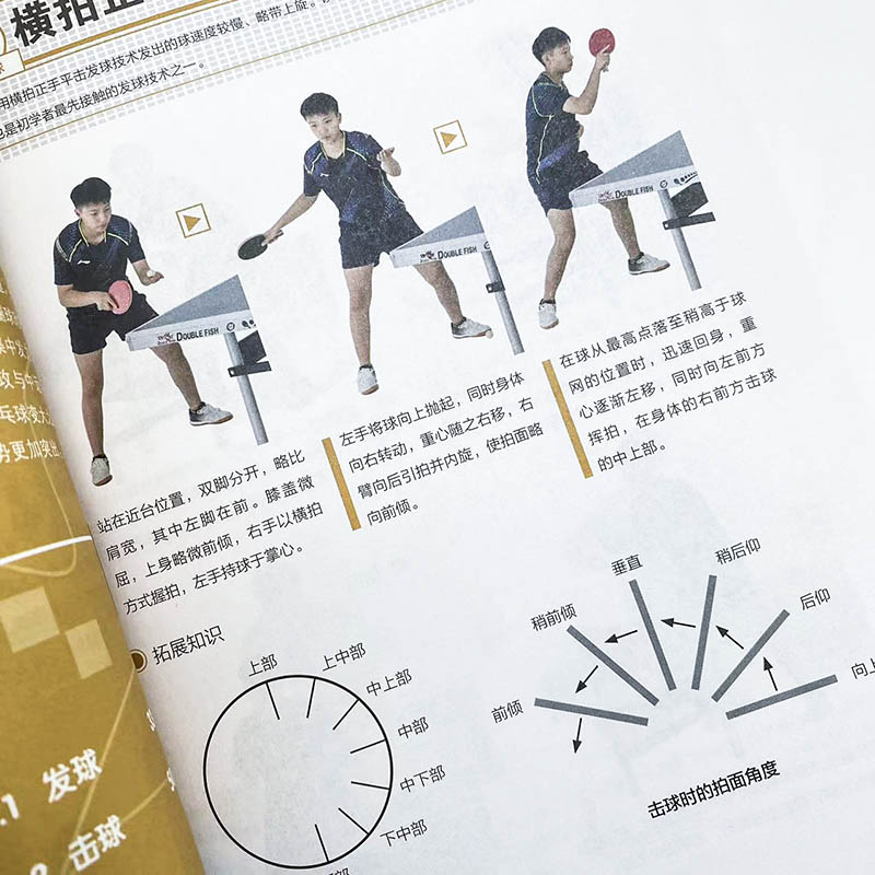 탁구 기초: QR 코드 비디오 강의를 통한 그림으로 설 - Table Tennis Illustration 리뷰 및 가격