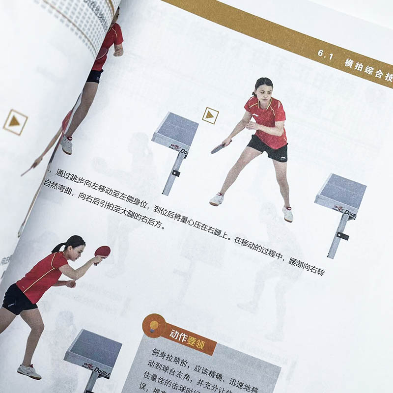 탁구 기초: QR 코드 비디오 강의를 통한 그림으로 설 - Table Tennis Illustration 리뷰 및 가격